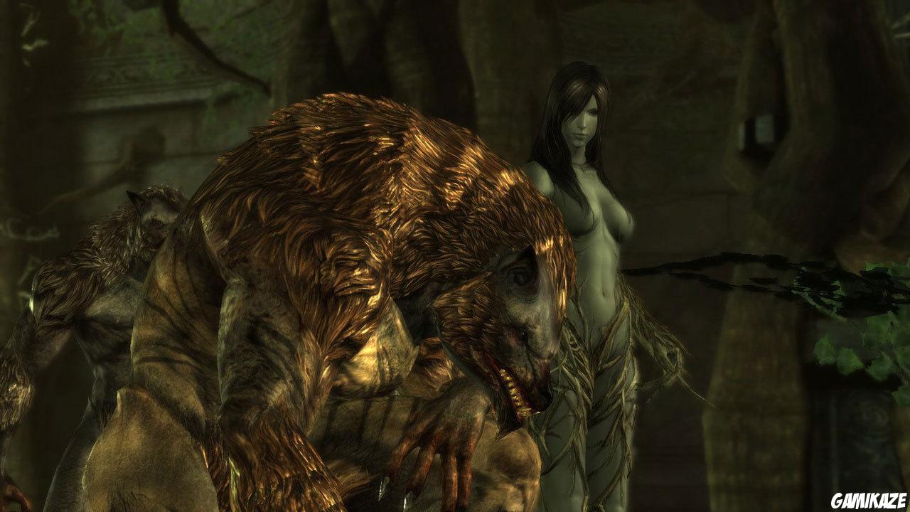Dragon Age : Origins