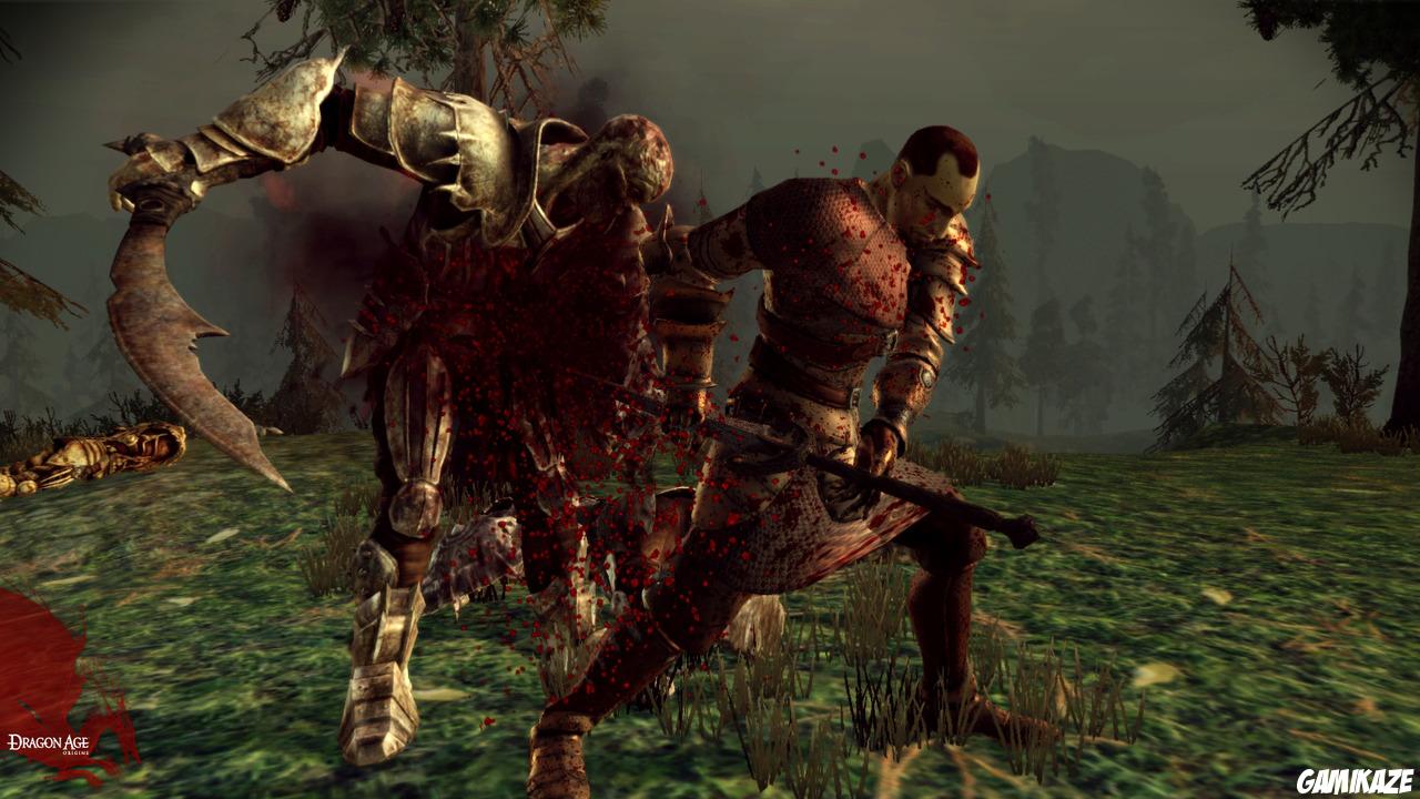 Dragon Age : Origins