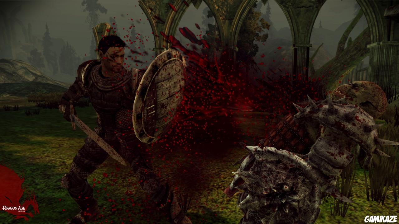 Dragon Age : Origins