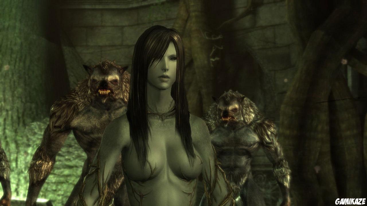 Dragon Age : Origins