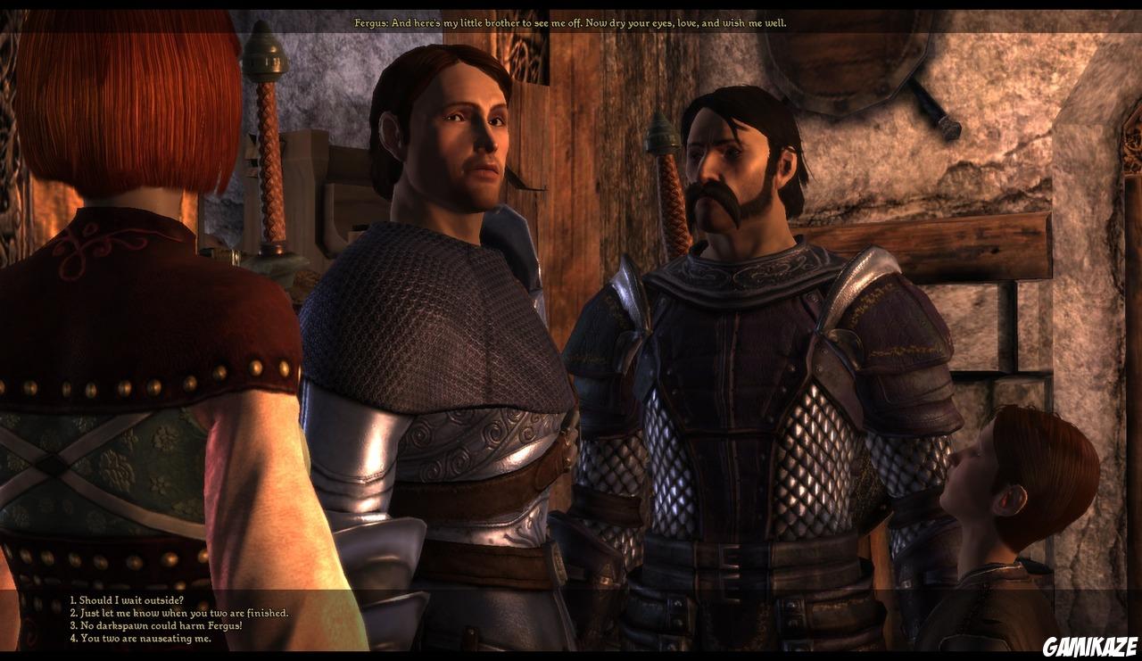 Dragon Age : Origins