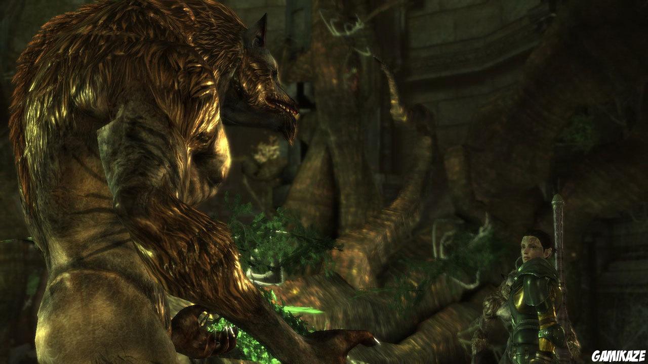 Dragon Age : Origins