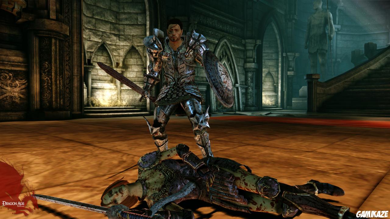 Dragon Age : Origins