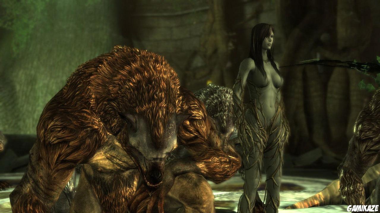 Dragon Age : Origins