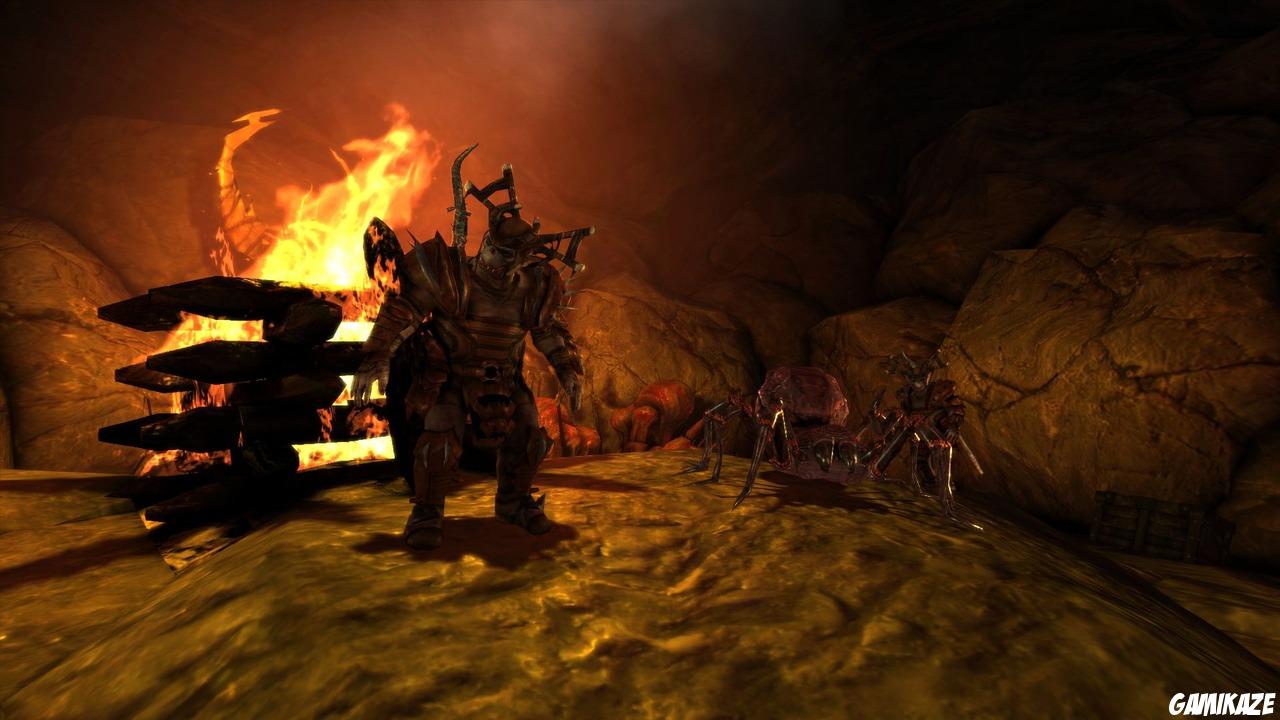 Dragon Age : Origins