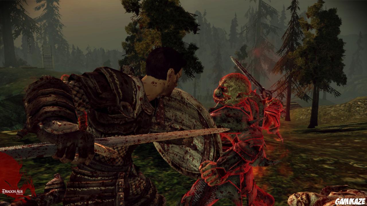 Dragon Age : Origins