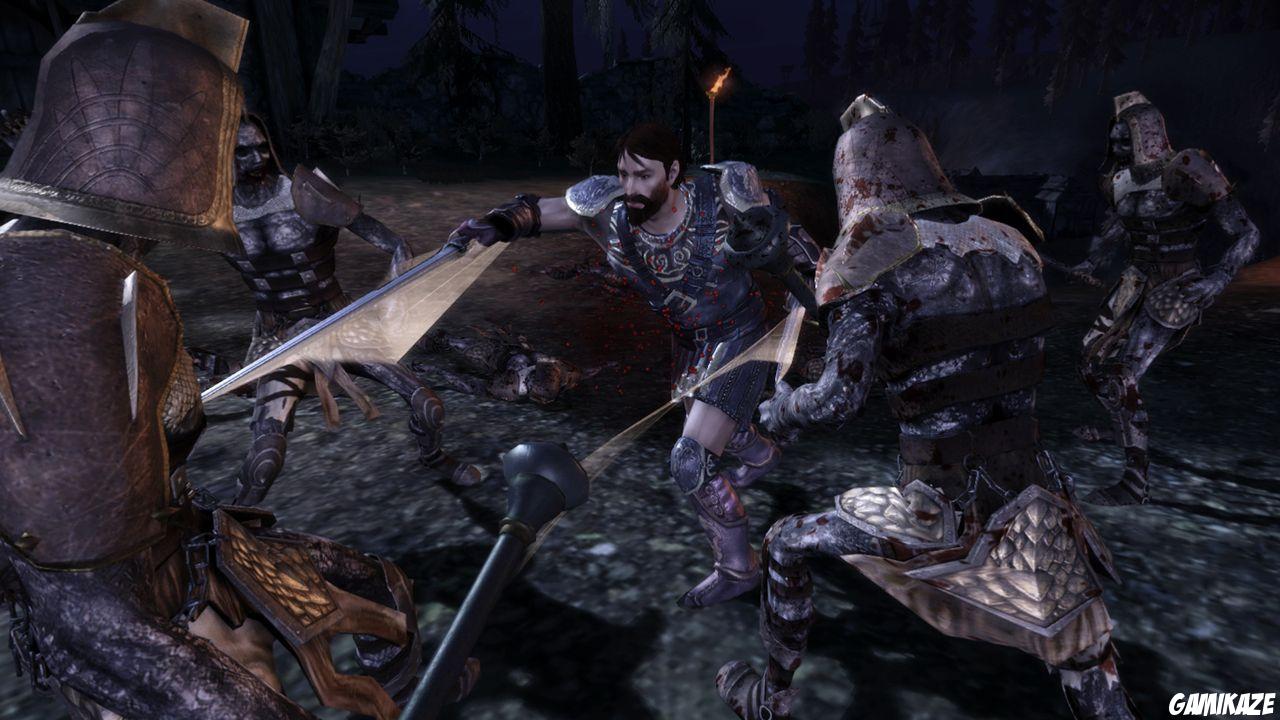 Dragon Age : Origins