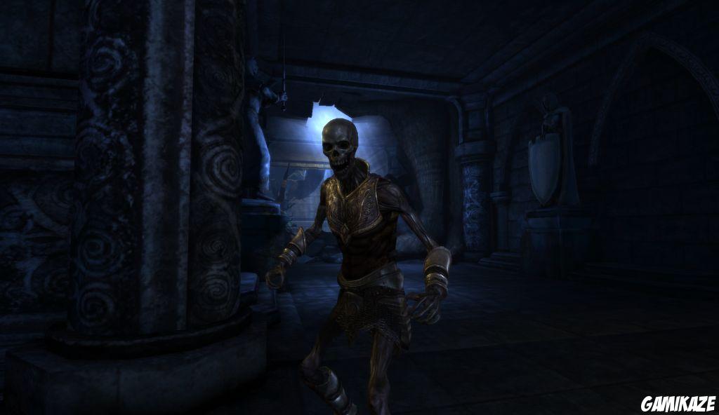 Dragon Age : Origins