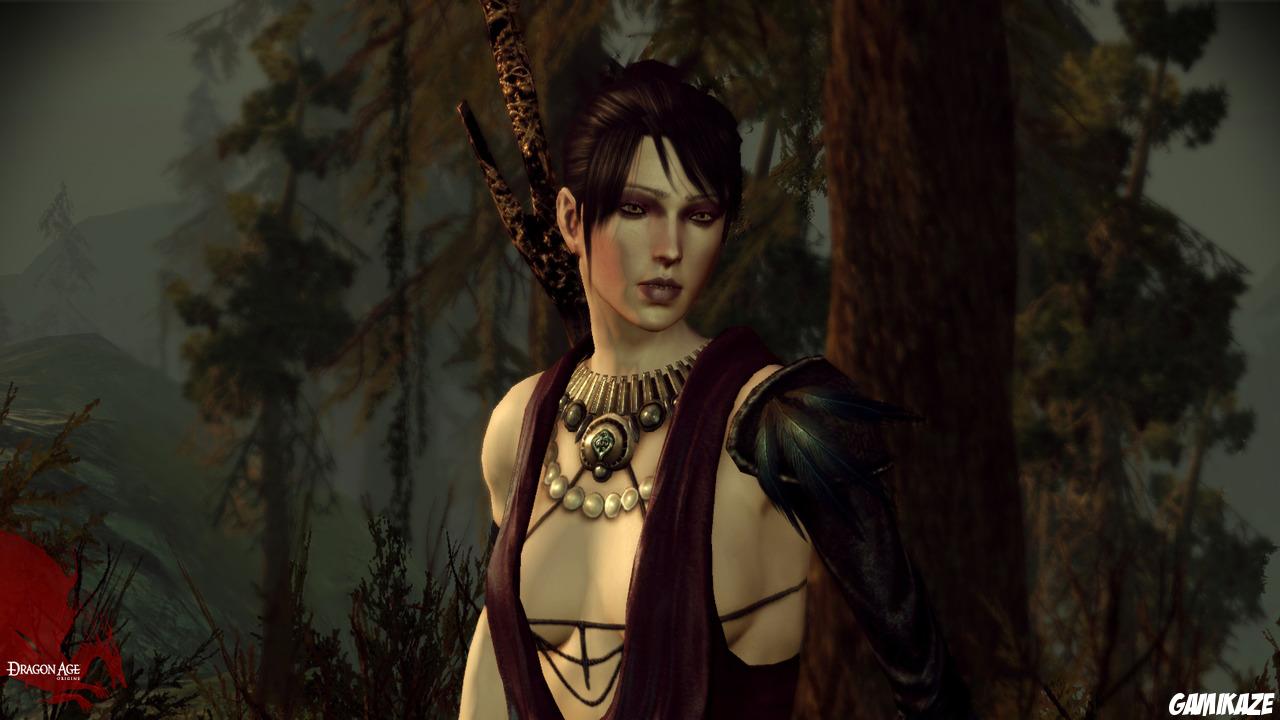 Dragon Age : Origins