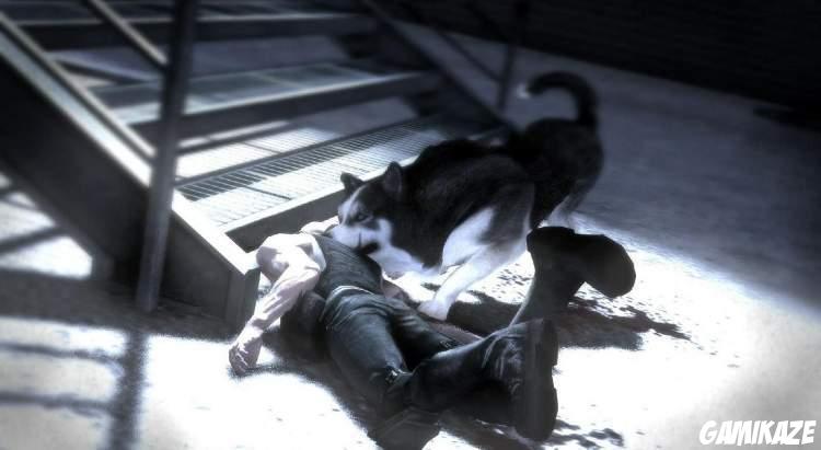 Dead to Rights : Retribution