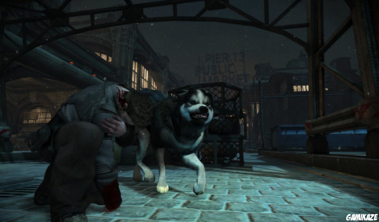 Dead to Rights : Retribution