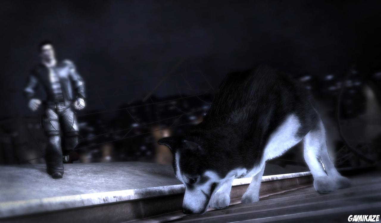 Dead to Rights : Retribution