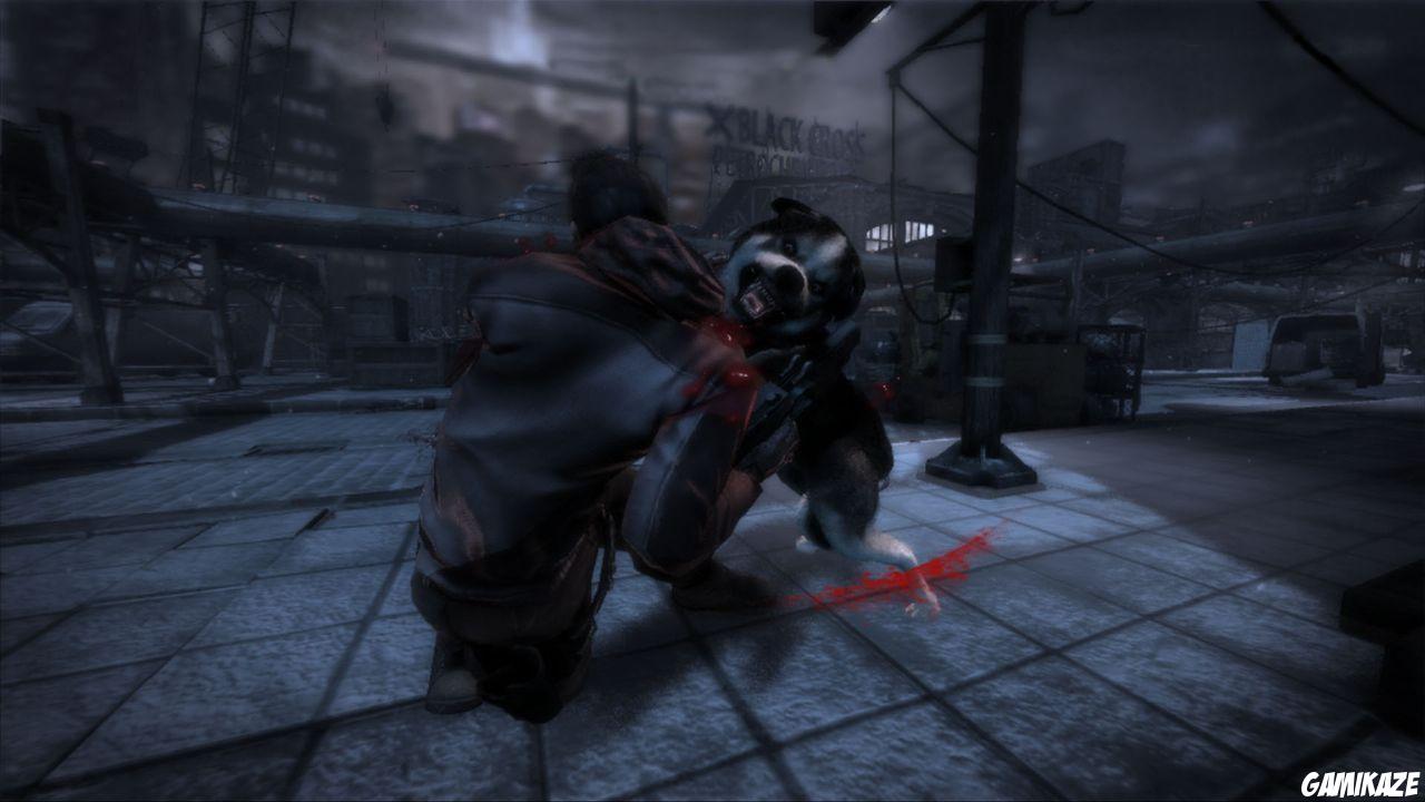 Dead to Rights : Retribution