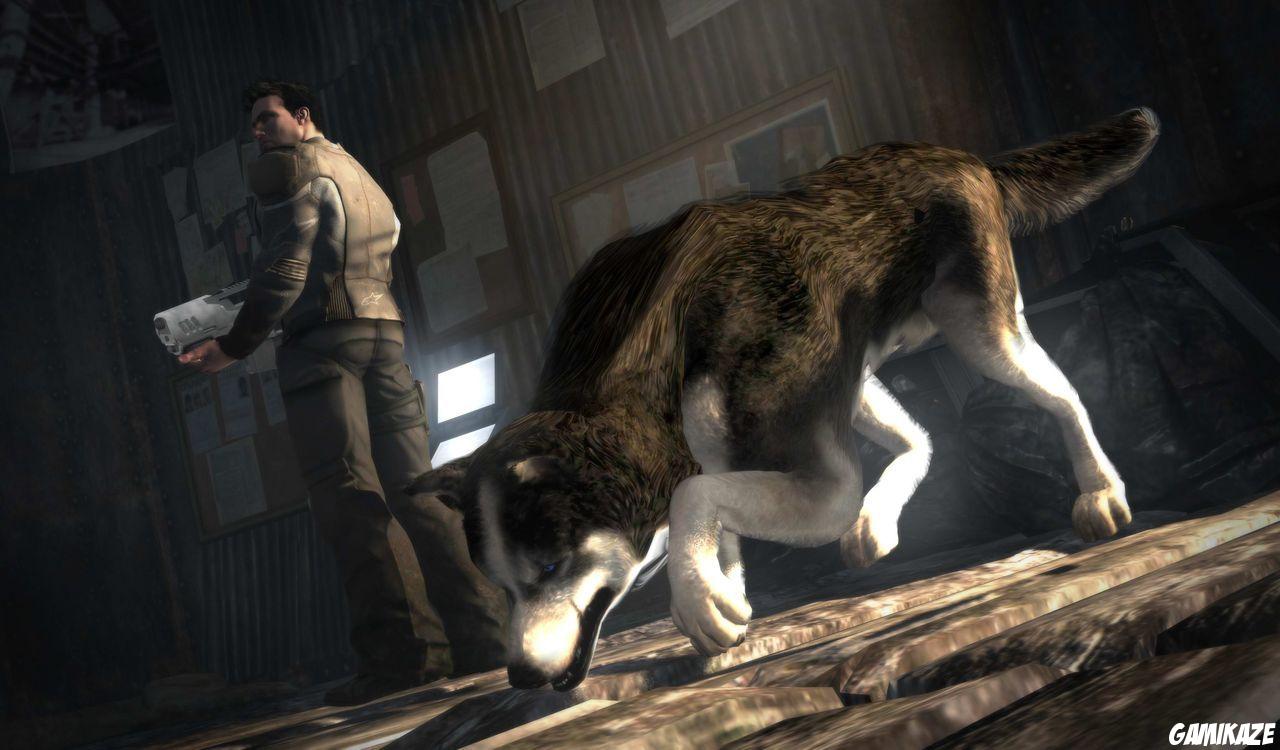 Dead to Rights : Retribution