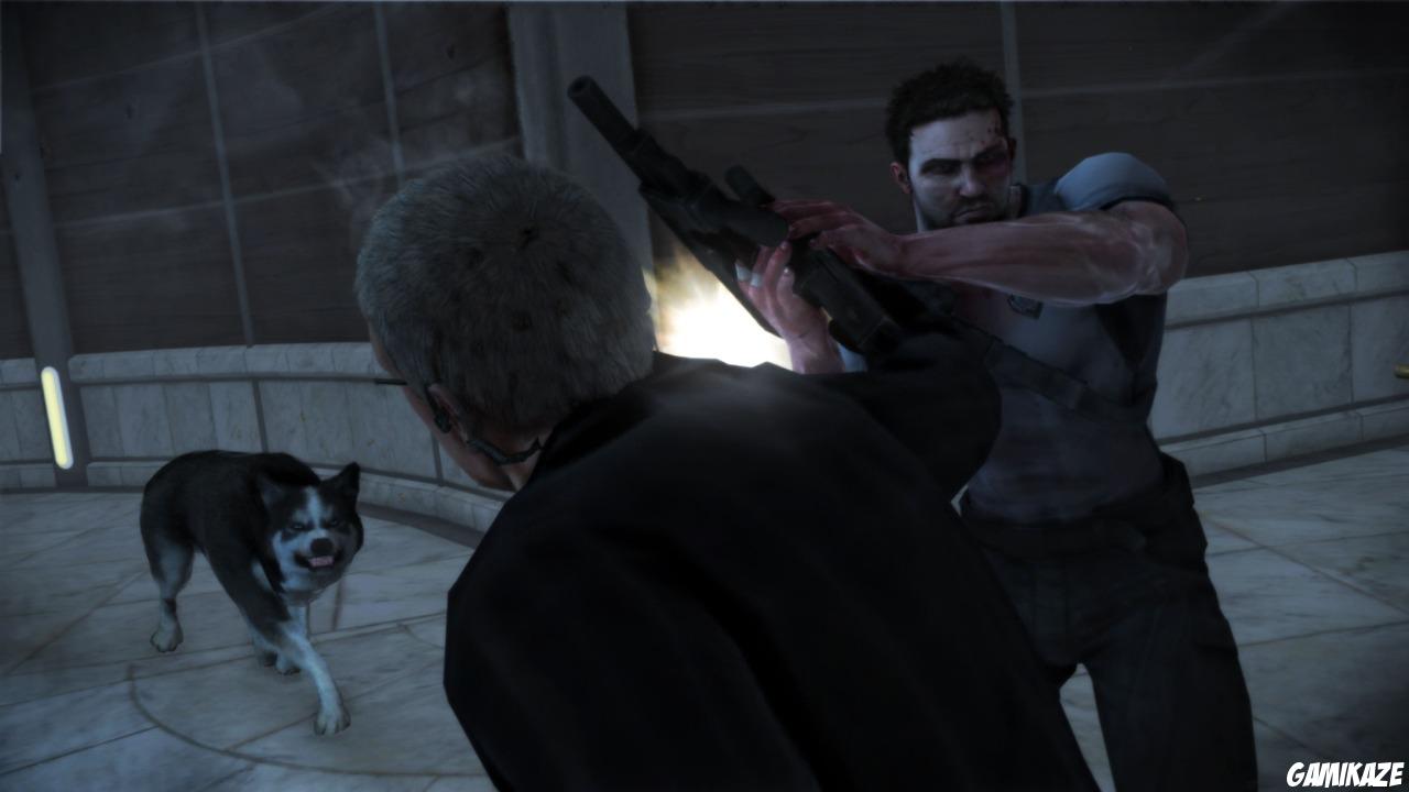 Dead to Rights : Retribution