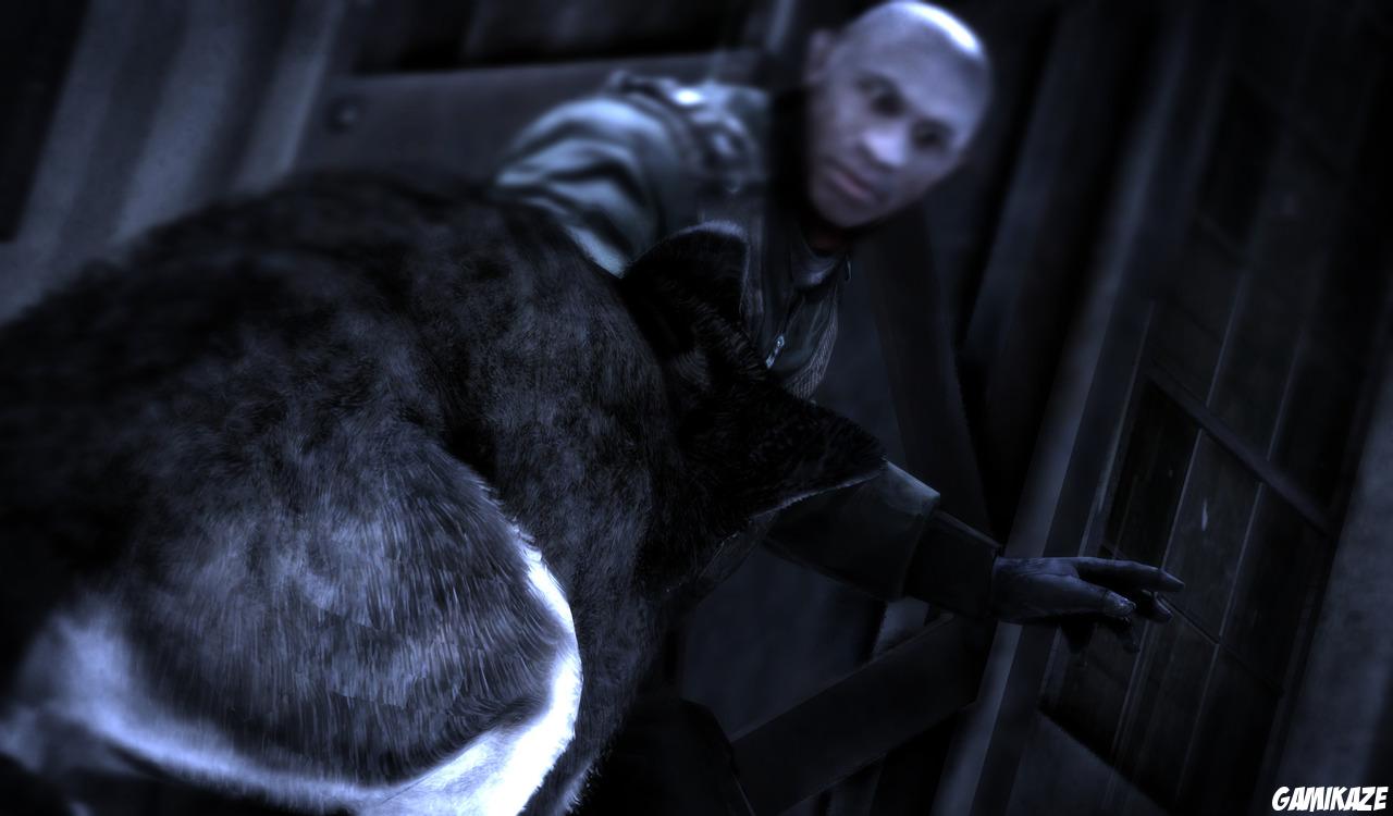 Dead to Rights : Retribution