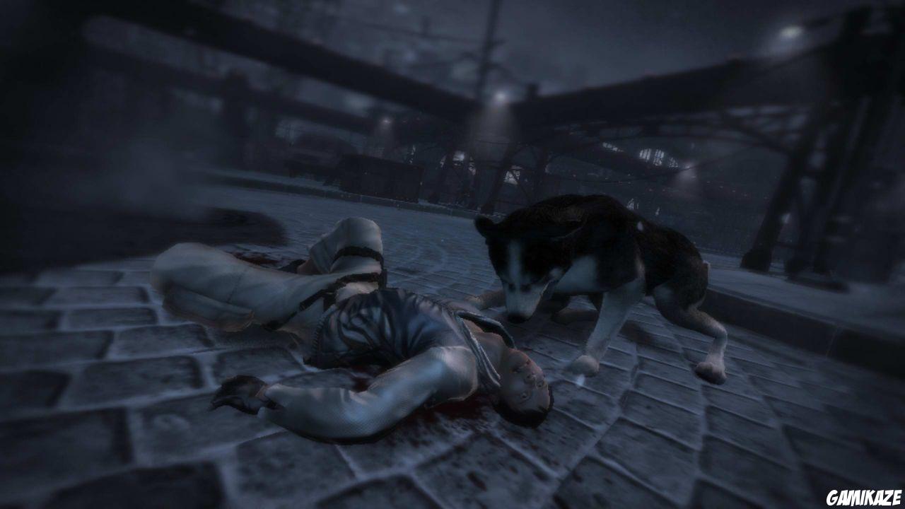 Dead to Rights : Retribution