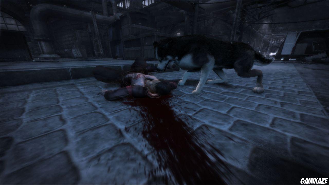 Dead to Rights : Retribution