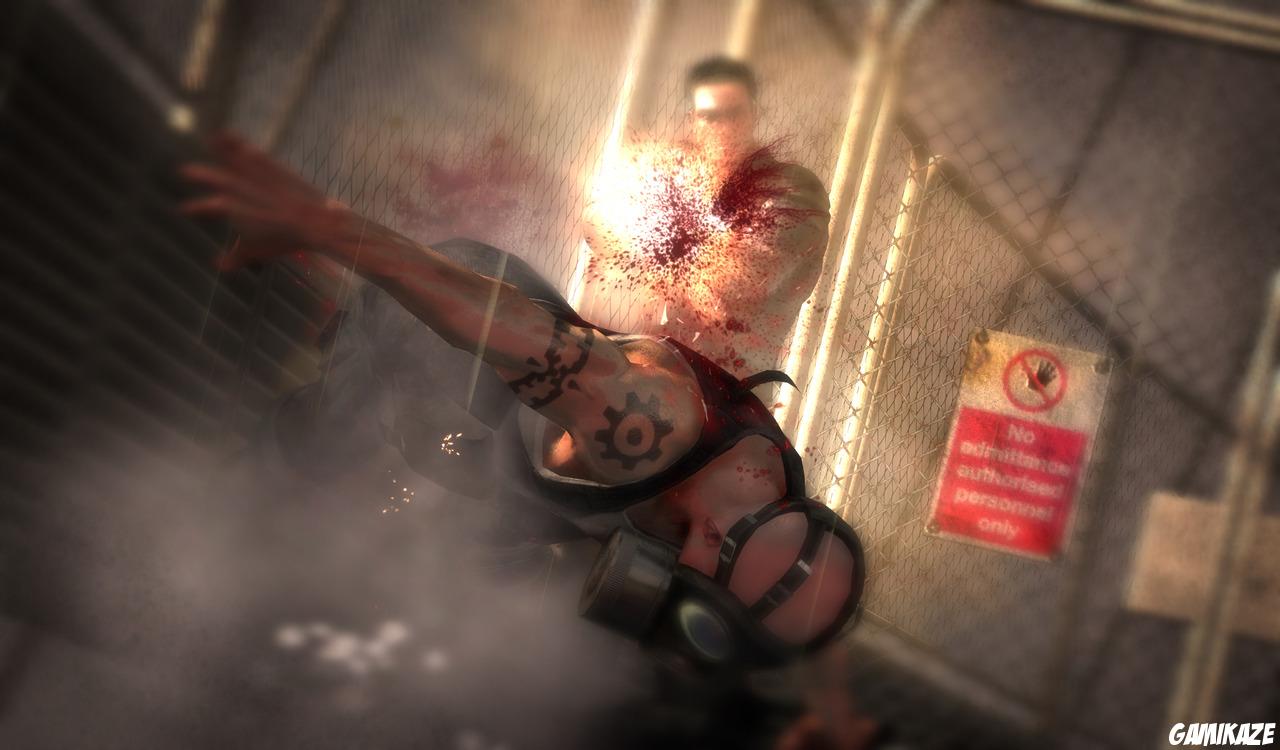 Dead to Rights : Retribution