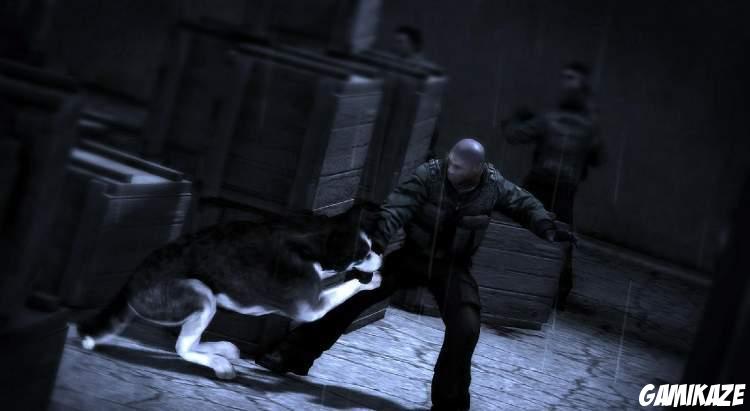 Dead to Rights : Retribution