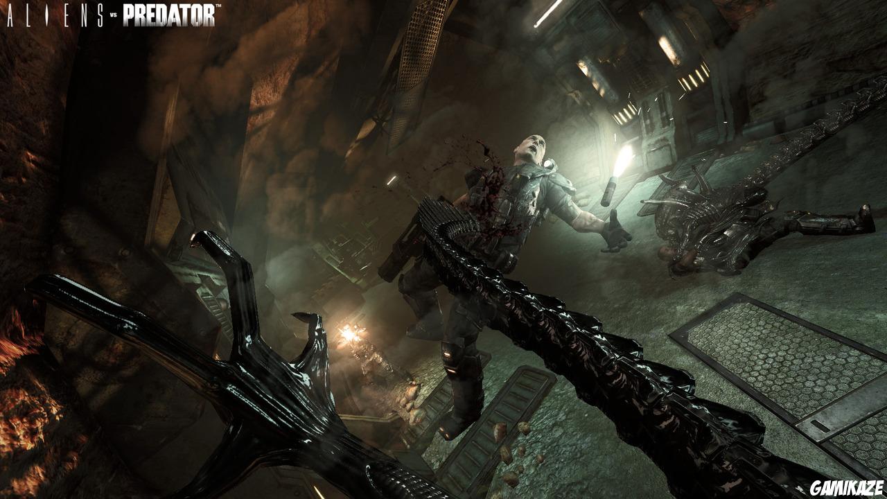 Aliens vs Predator