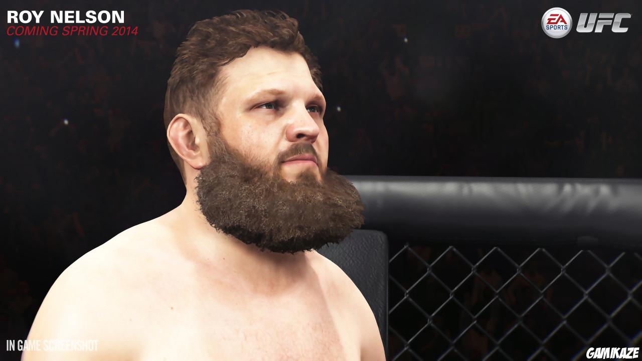 EA Sports UFC