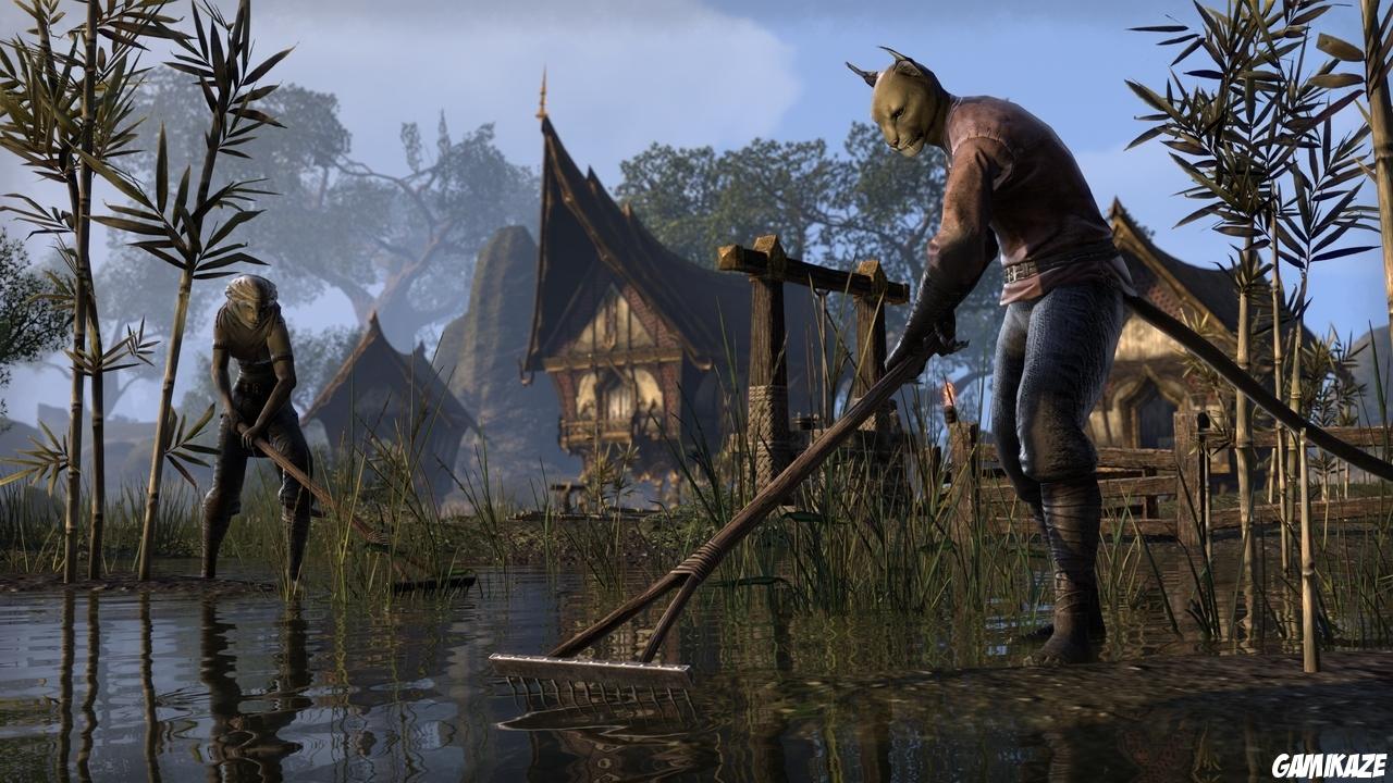 The Elder Scrolls Online