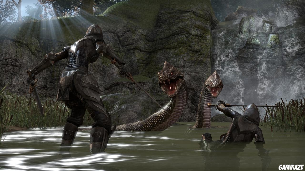 The Elder Scrolls Online