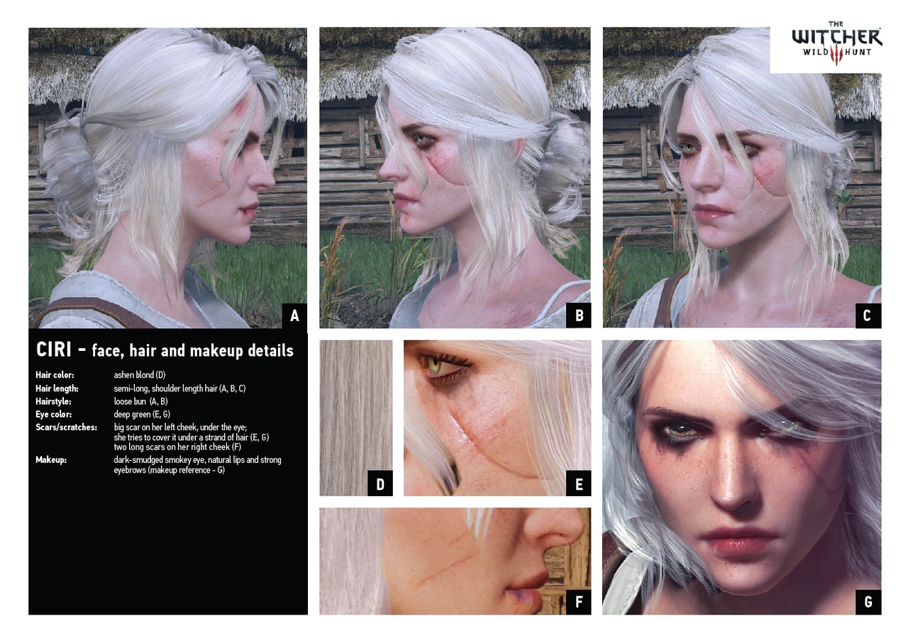 The Witcher 3 : Wild Hunt