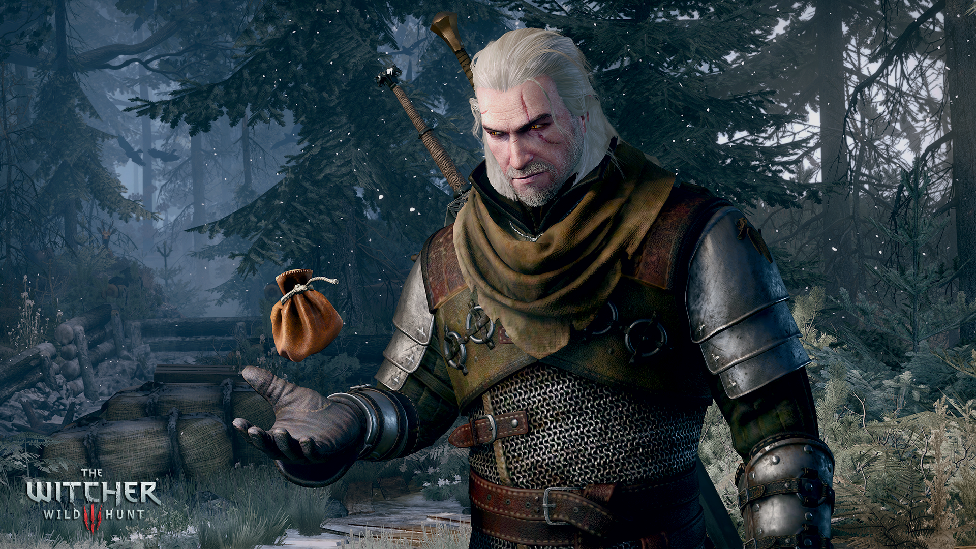The Witcher 3 : Wild Hunt