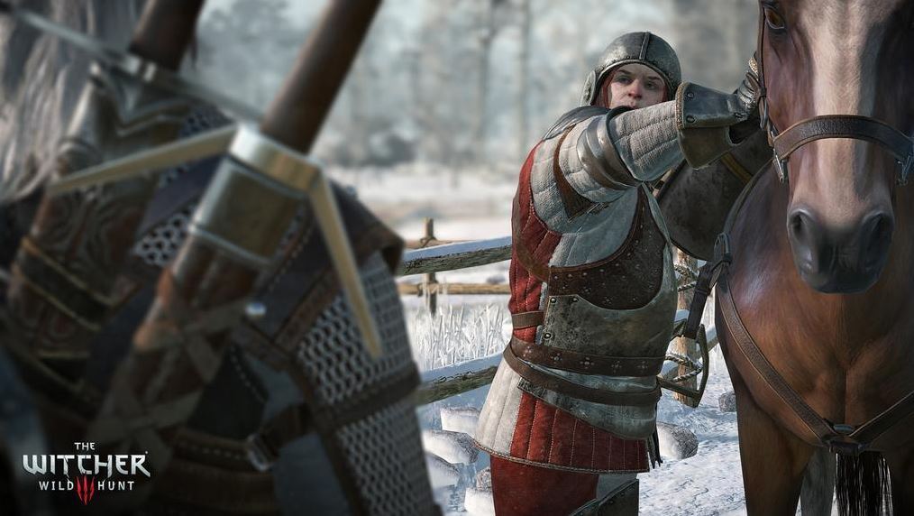 The Witcher 3 : Wild Hunt