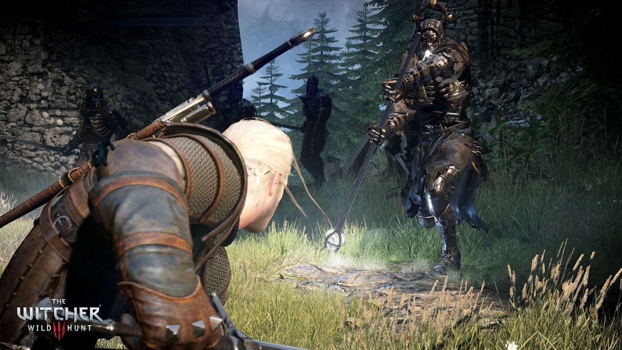 The Witcher 3 : Wild Hunt