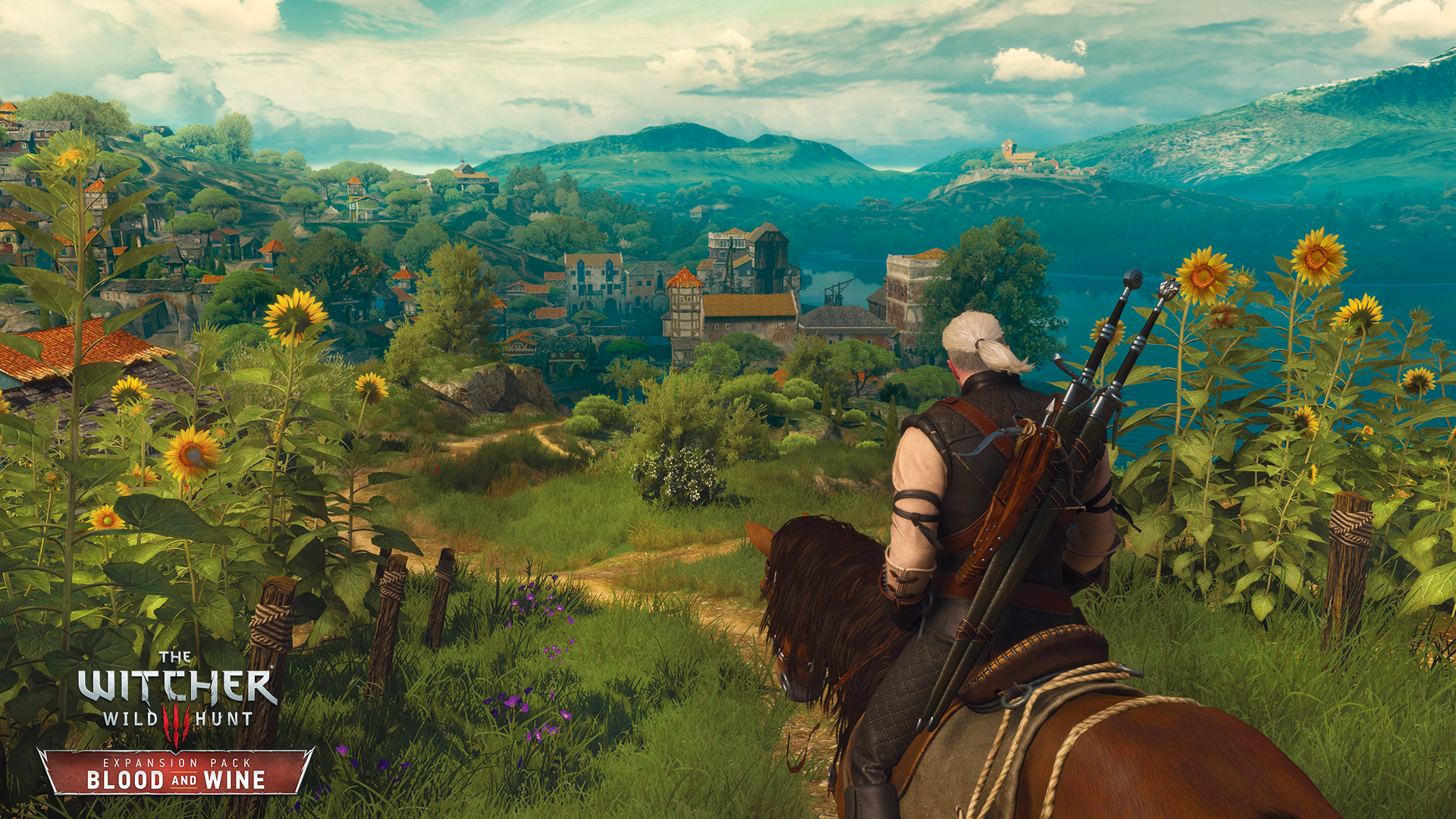 The Witcher 3 : Wild Hunt