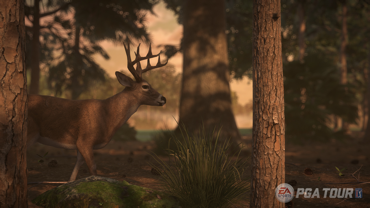 EA Sports Rory McIlroy PGA Tour 15