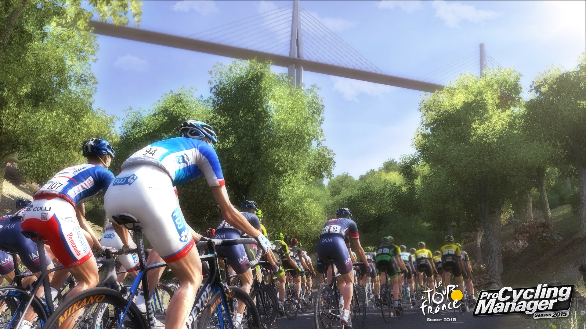 Tour de France 2015