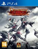 game type RPG Divinity : Original Sin - Enhanced Edition