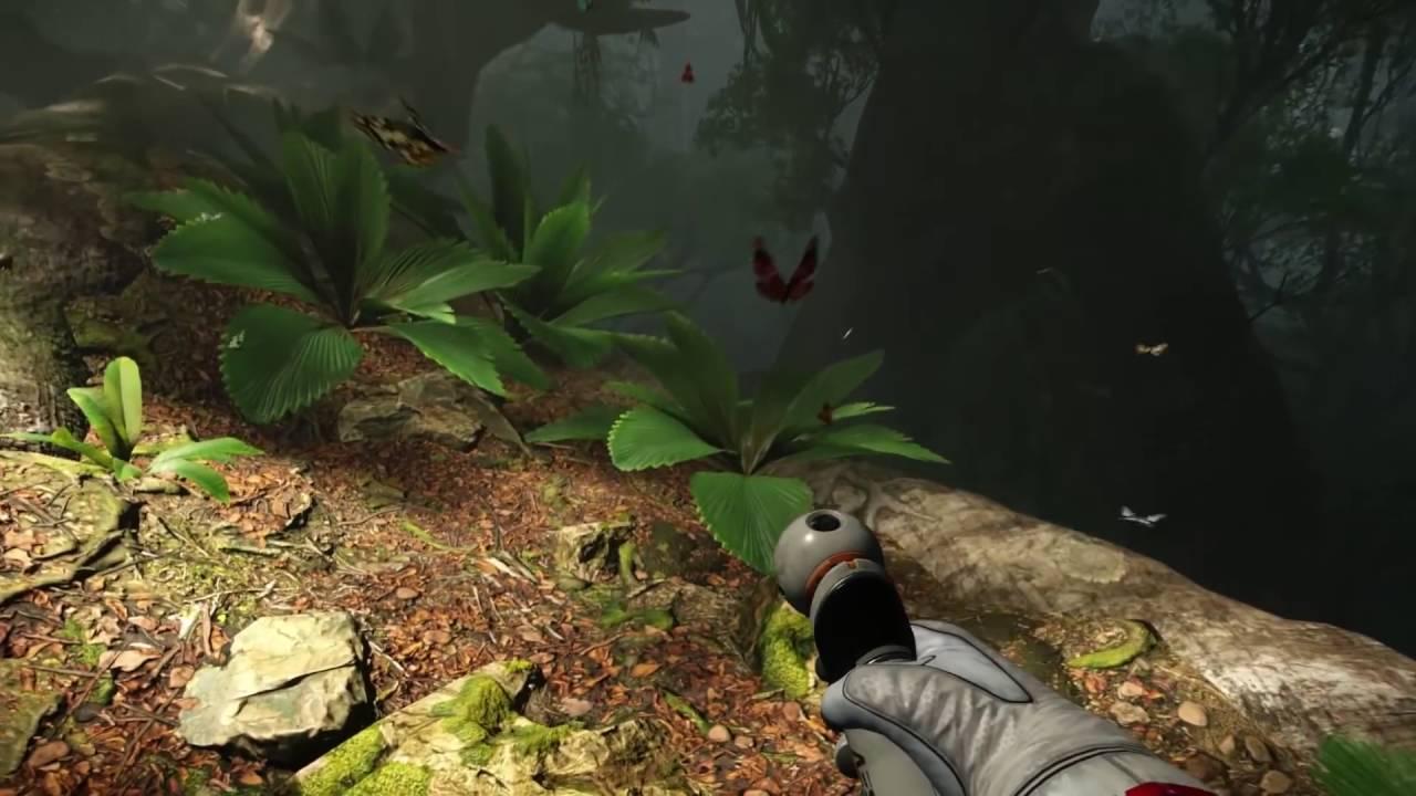 Robinson : The Journey