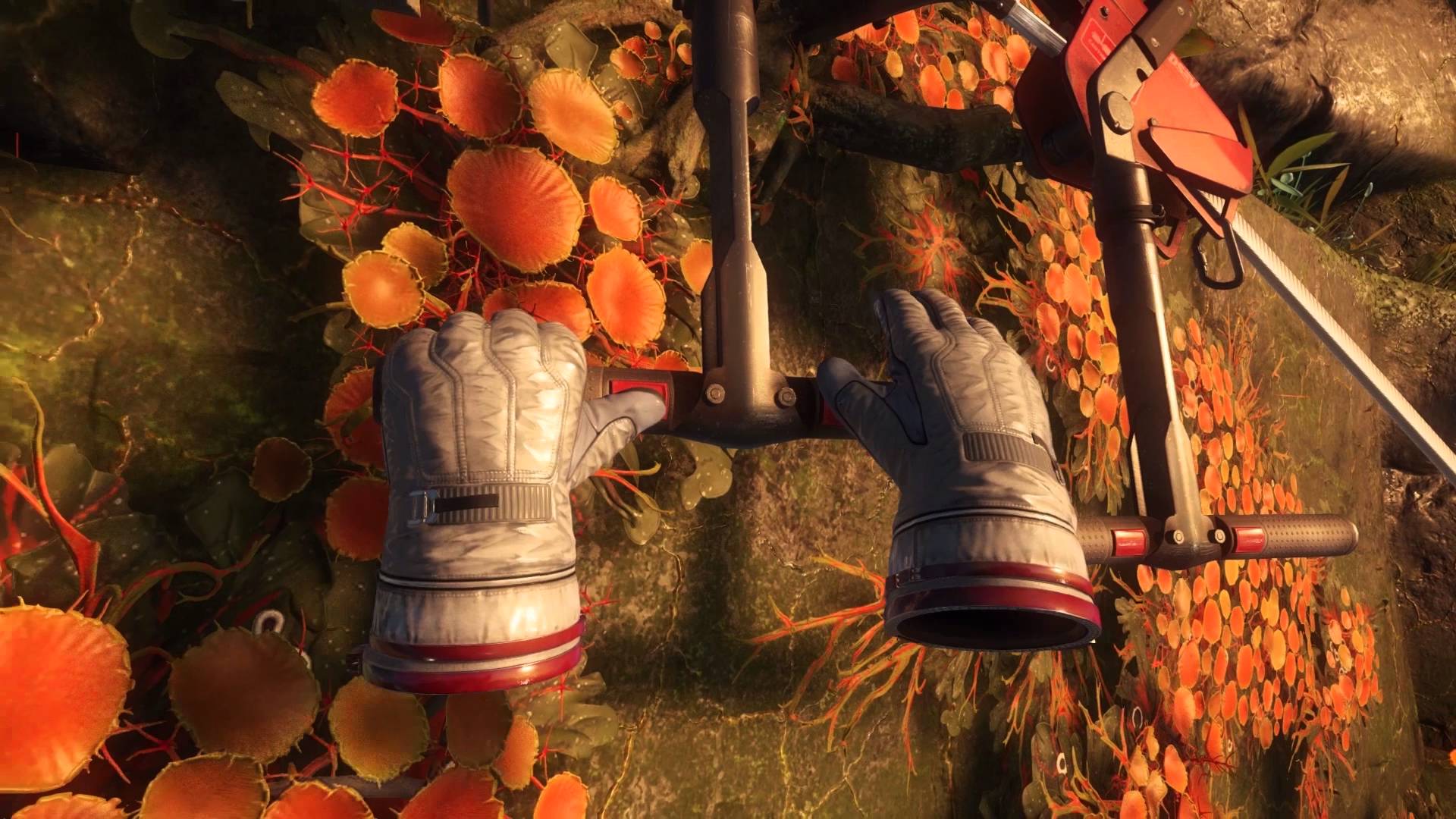 Robinson : The Journey