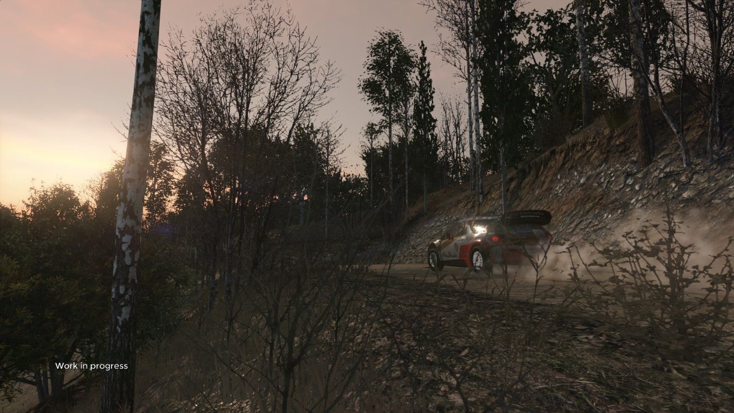 Sébastien Loeb Rally Evo