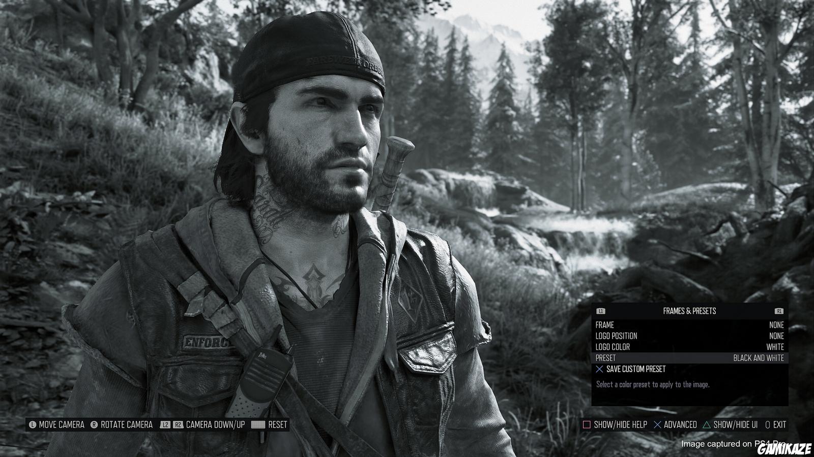 Days Gone