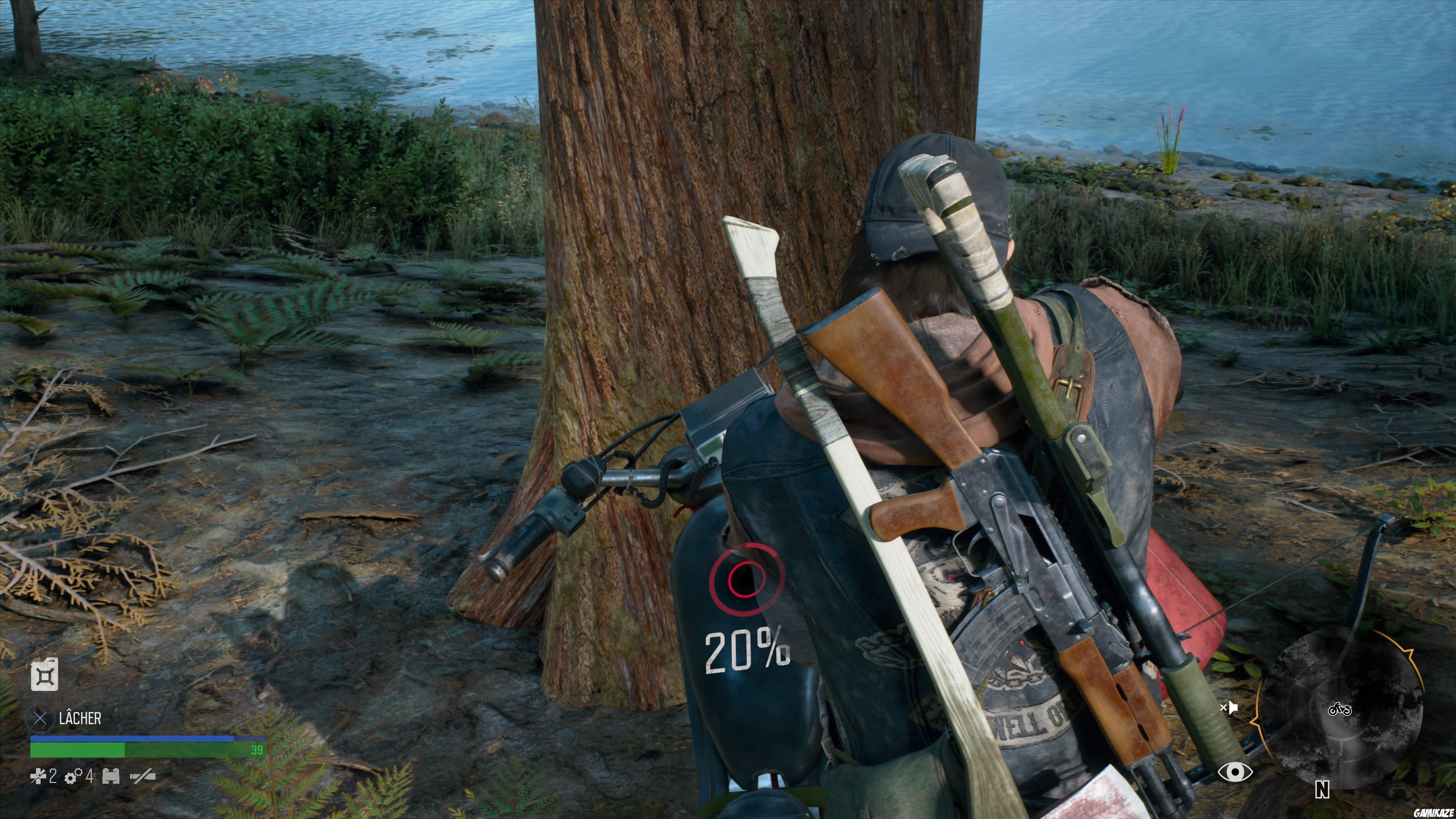 Days Gone