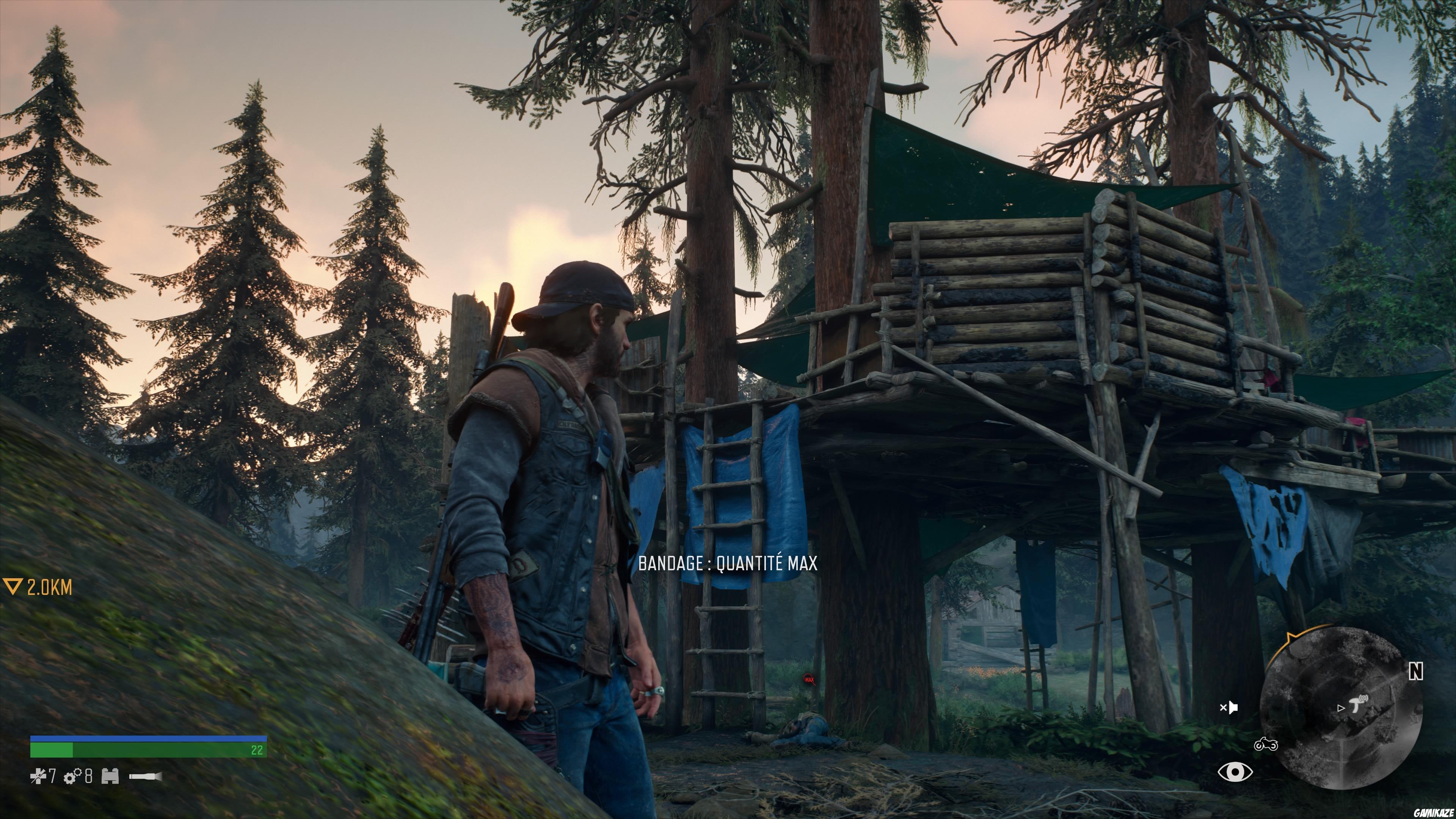 Days Gone