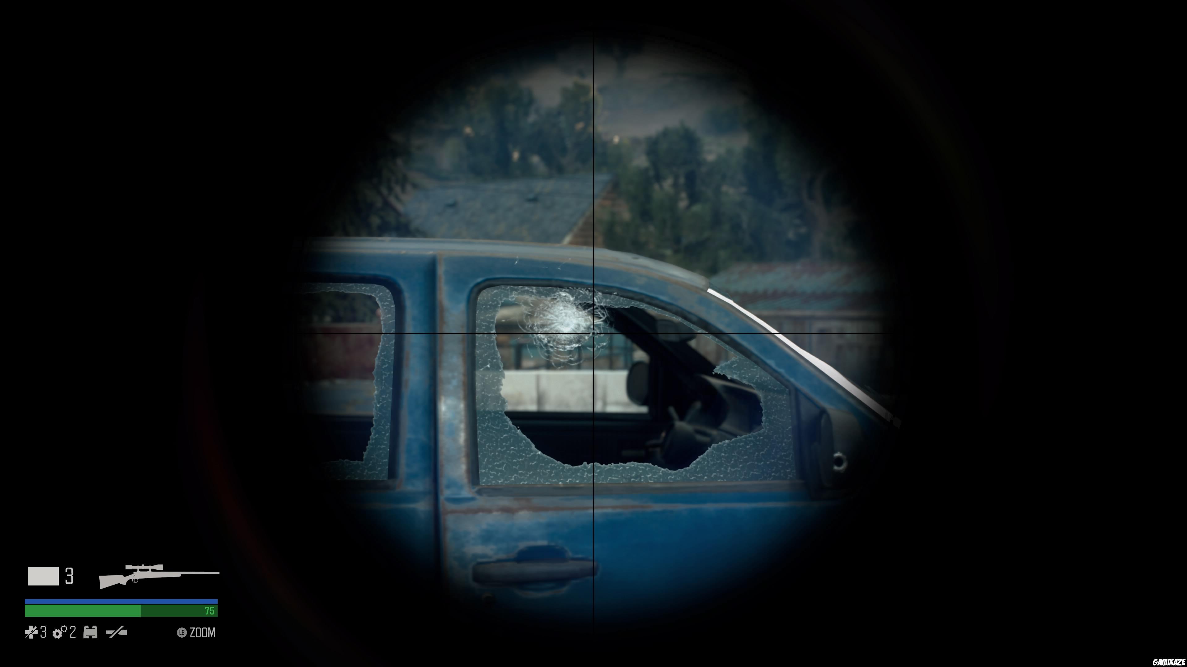 Days Gone