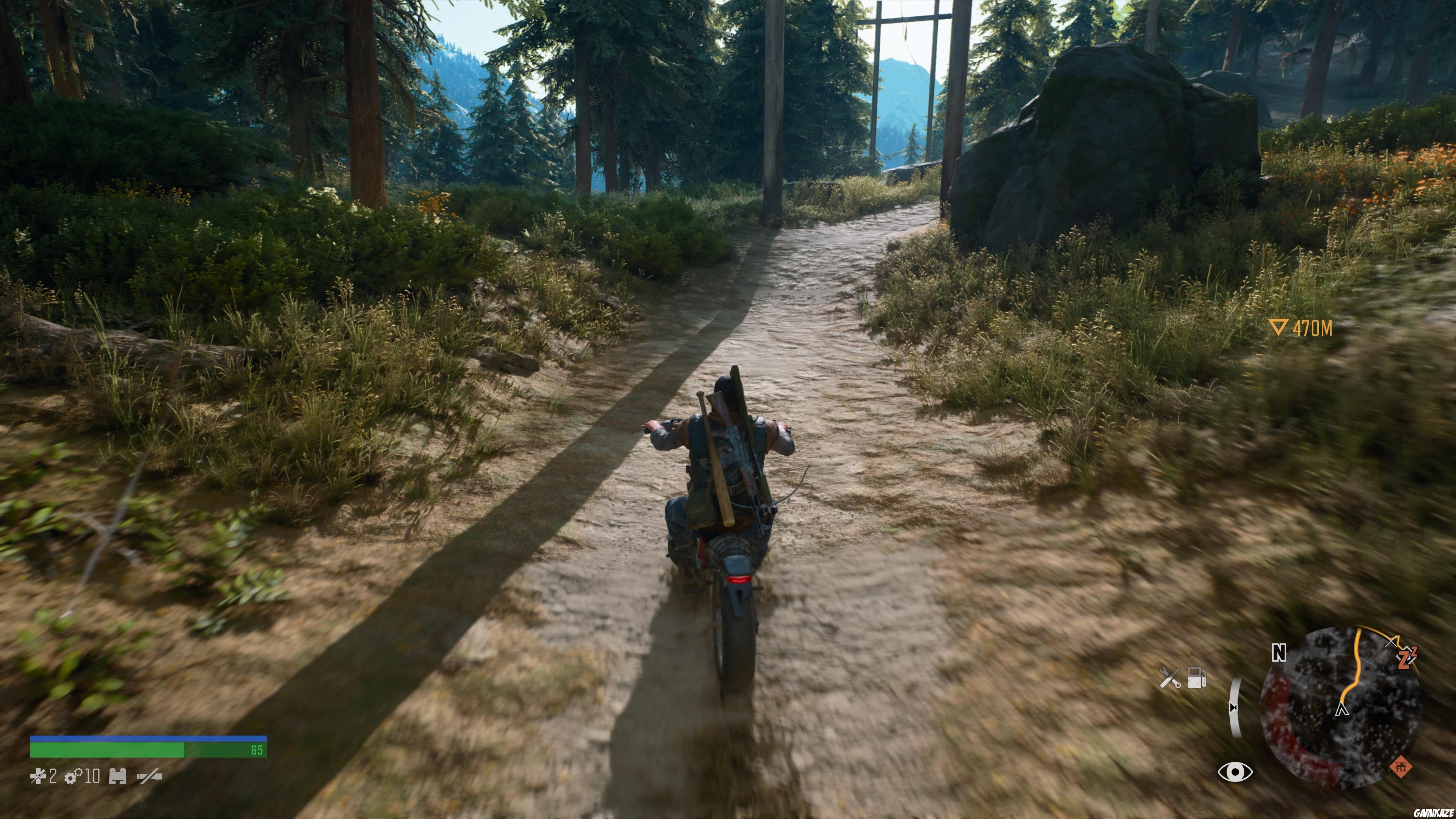 Days Gone