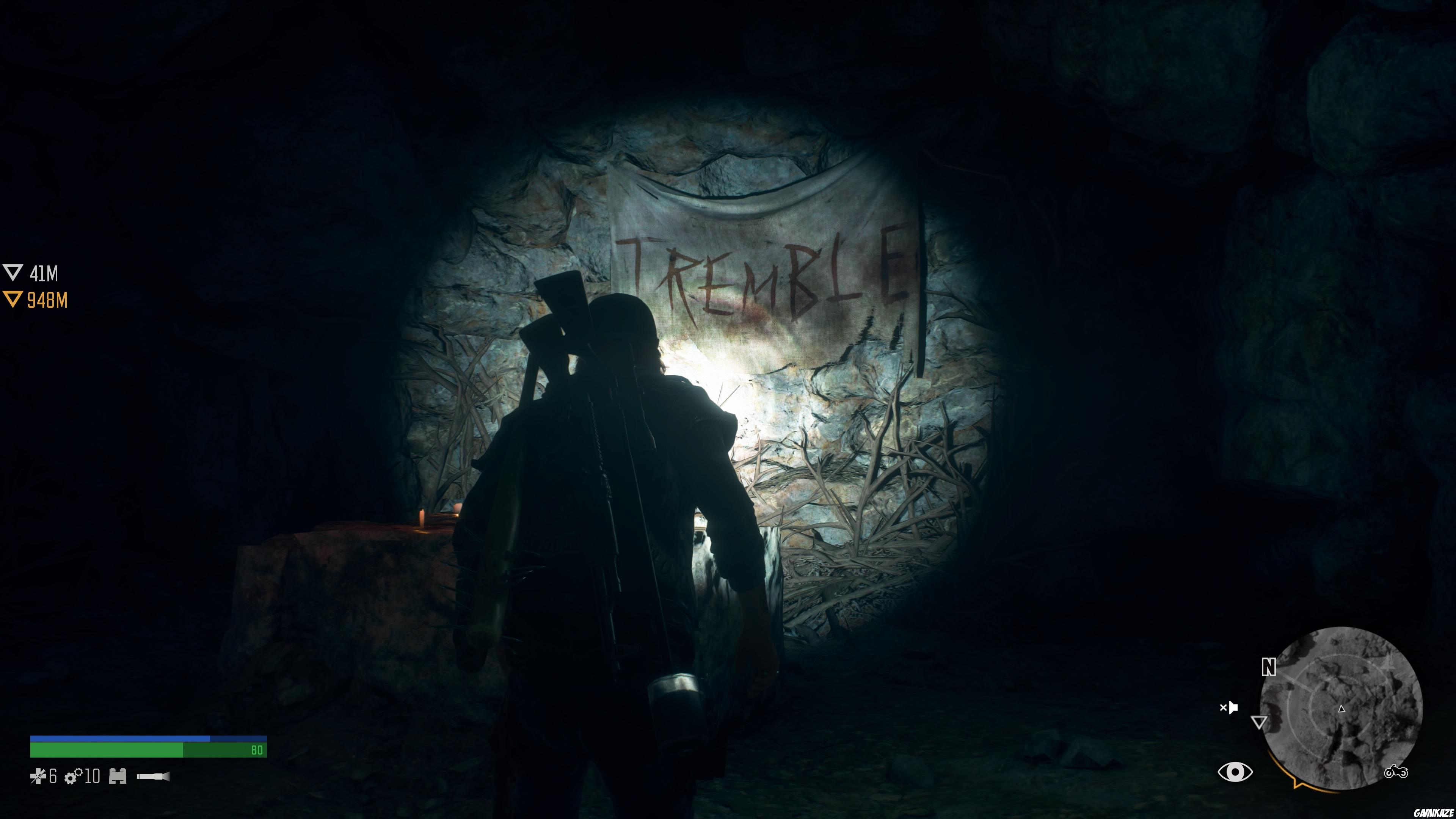 Days Gone
