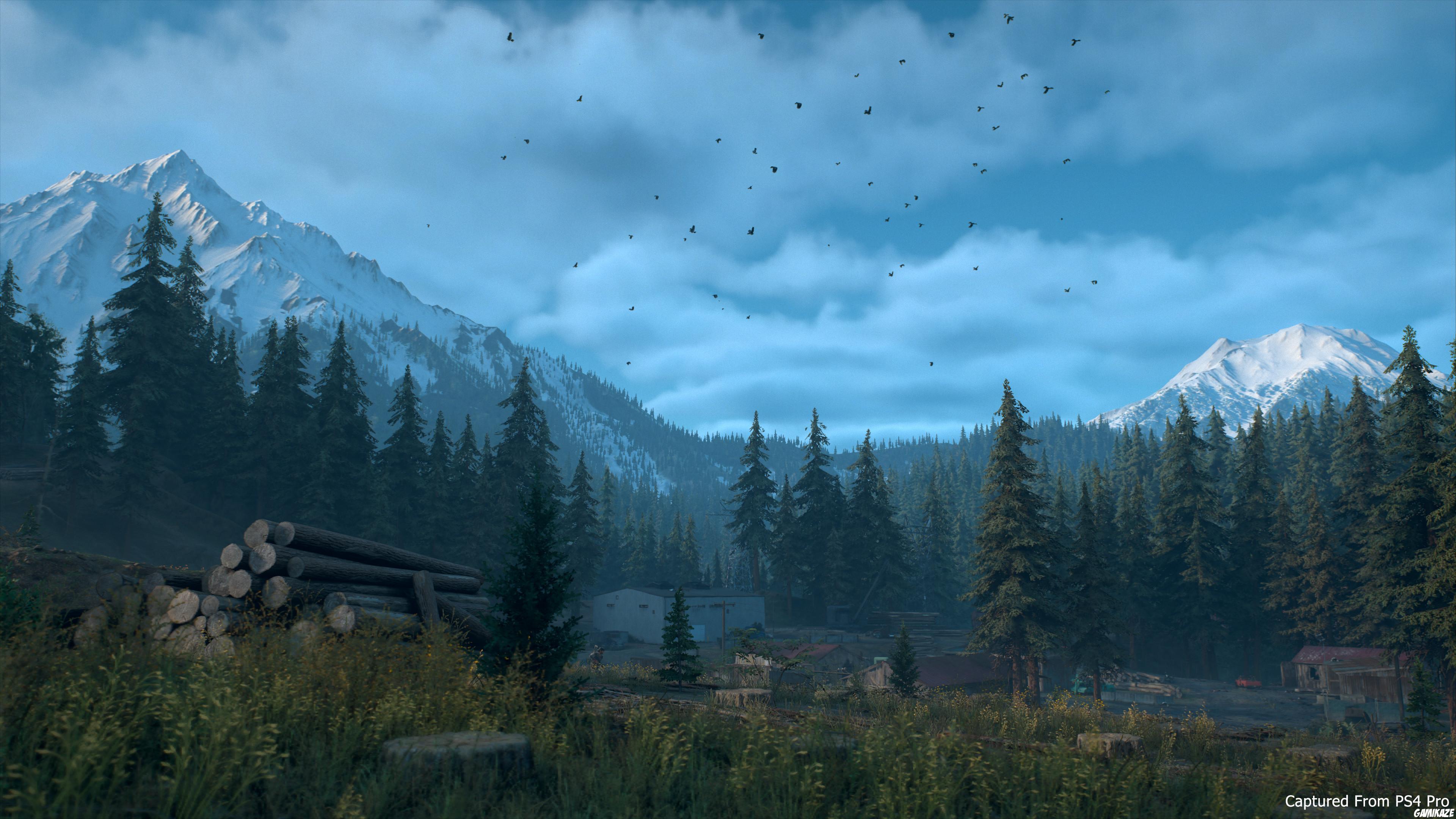Days Gone