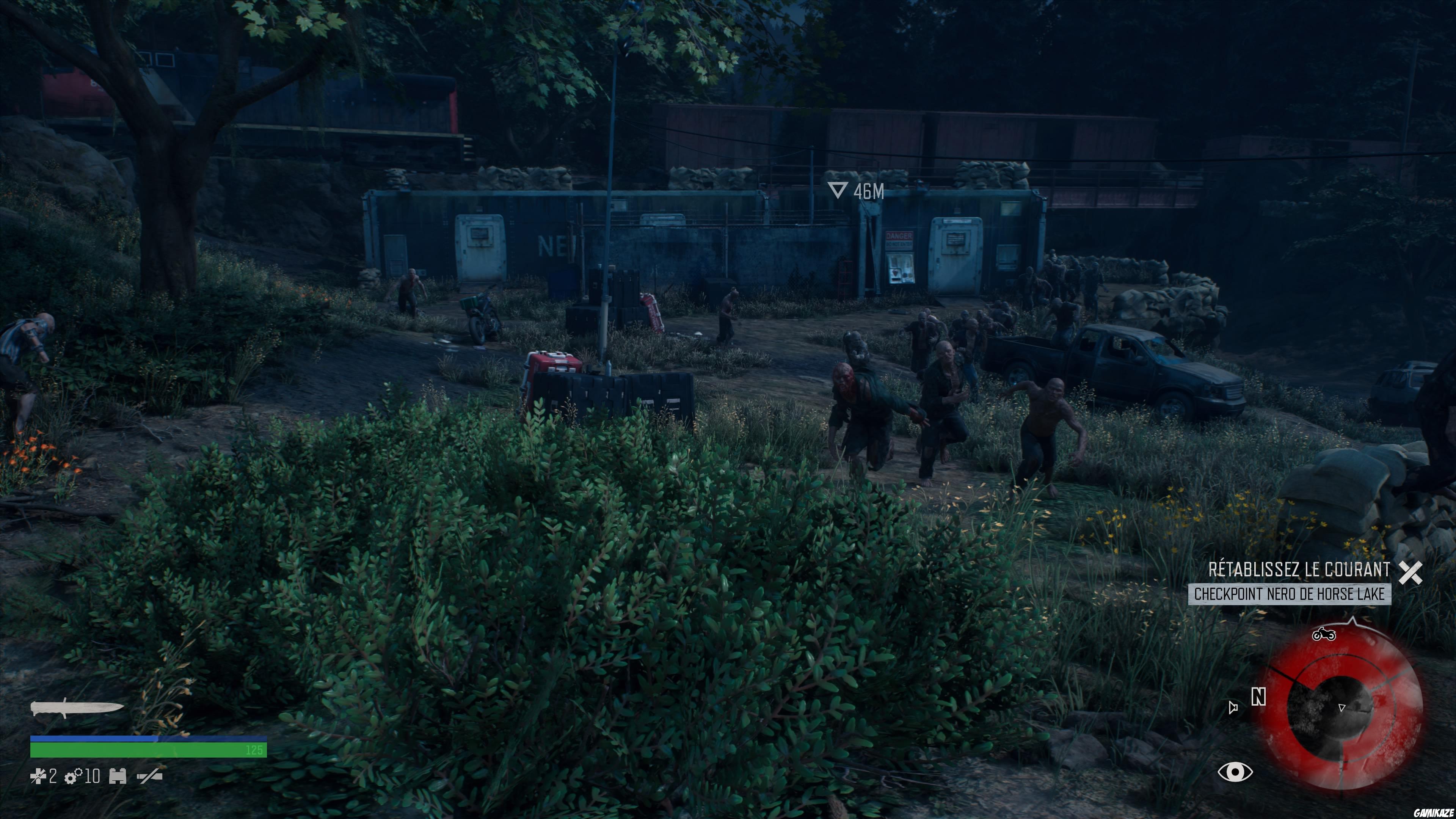 Days Gone