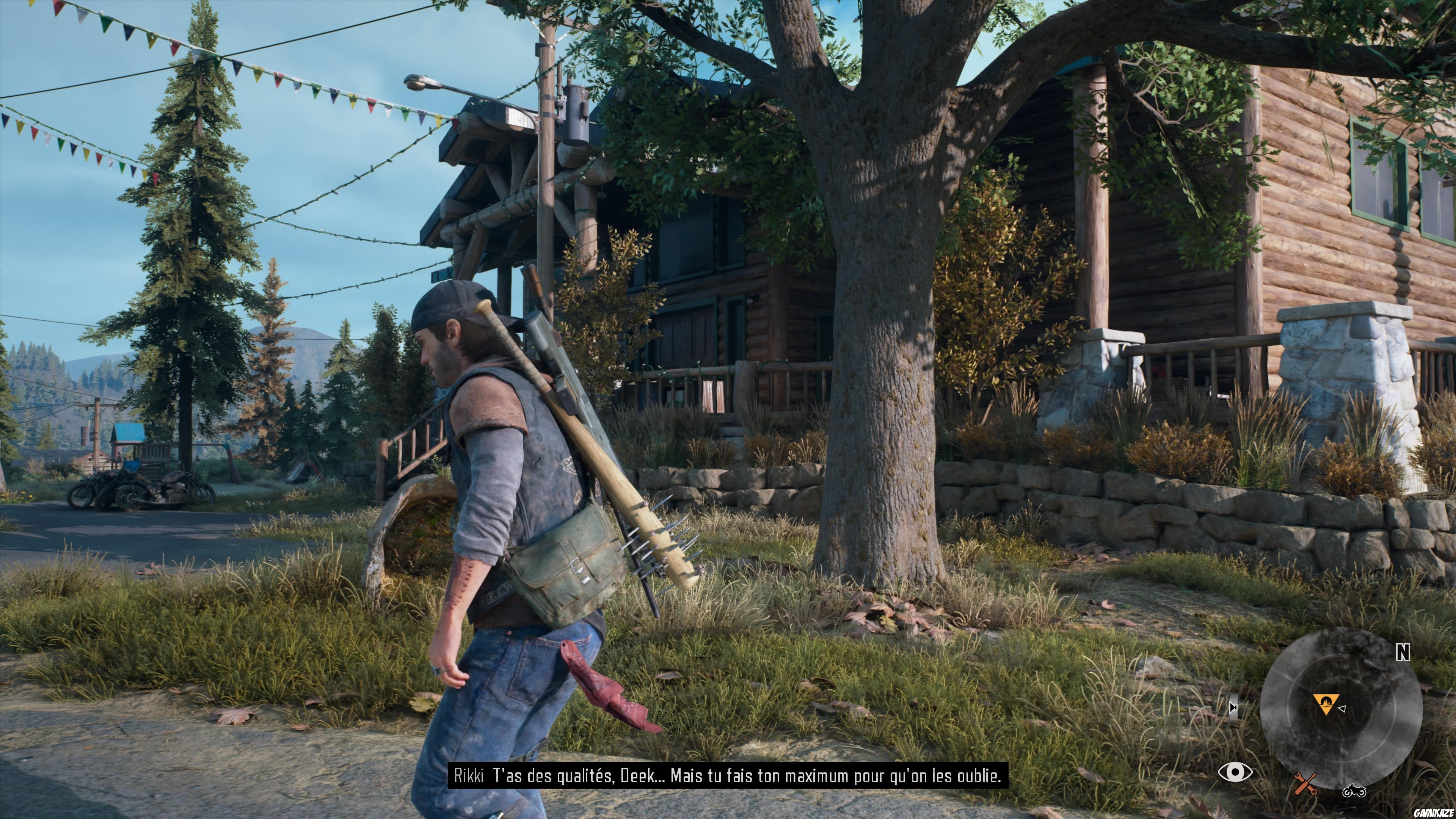 Days Gone