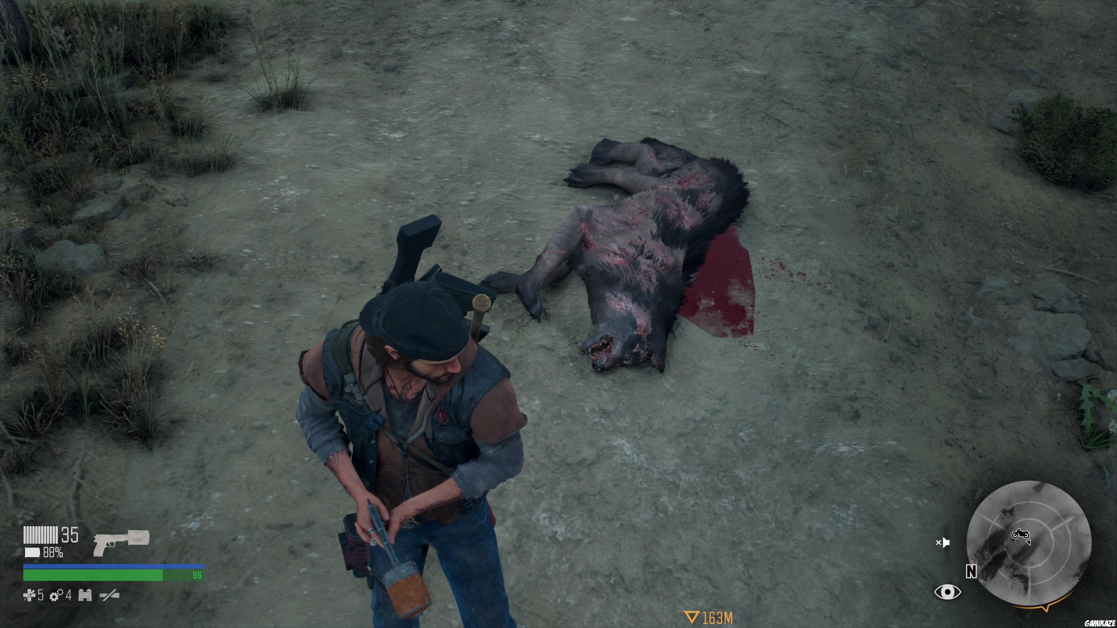 Days Gone