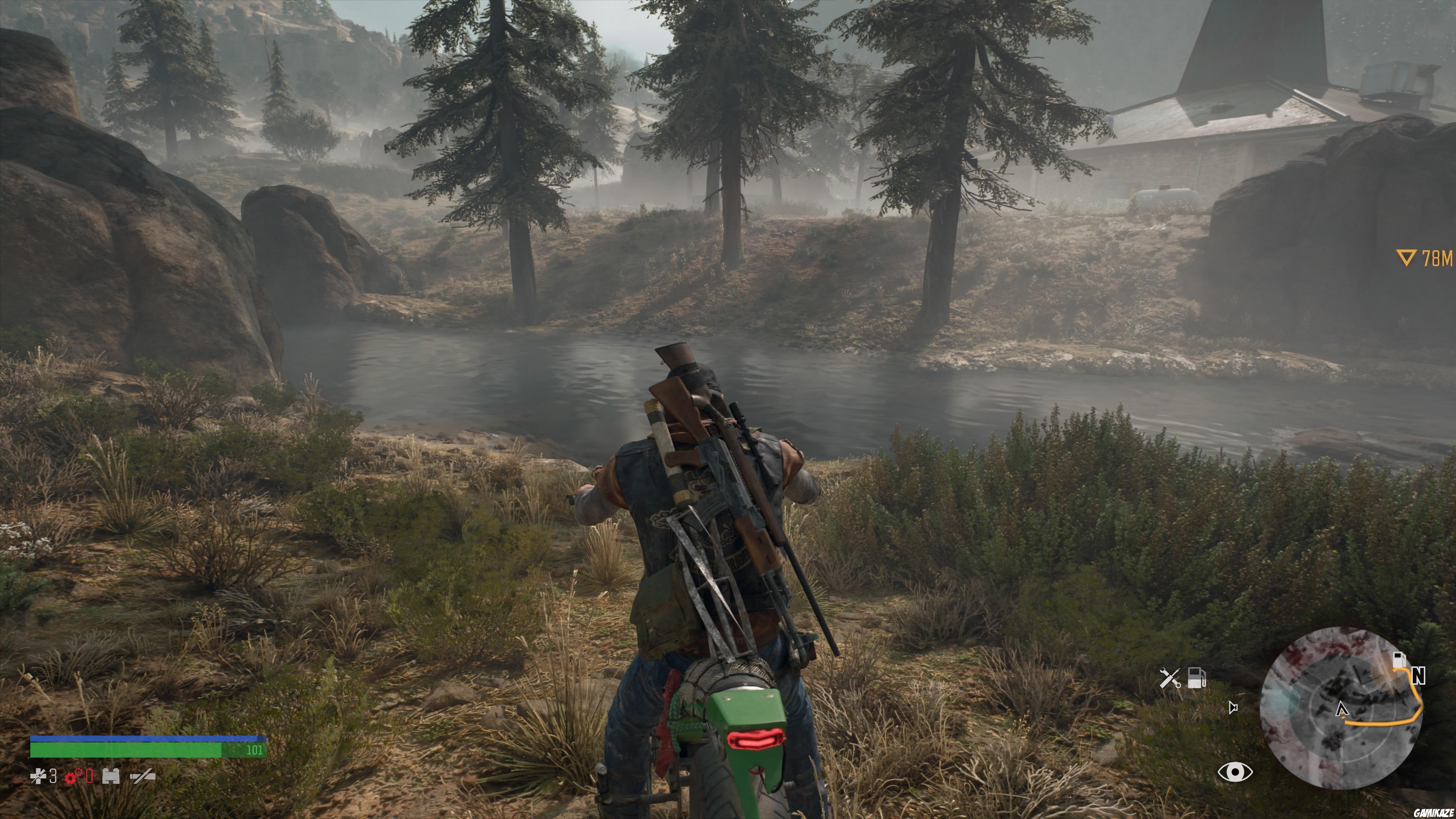 Days Gone